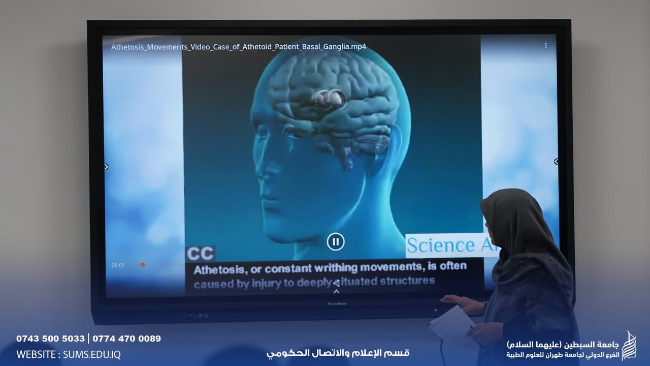 Al-Sibtain University Continues to Qualify its Students with Specialized Theoretical Lectures in Physical Therapy, Speech Therapy, and Occupational Therapy