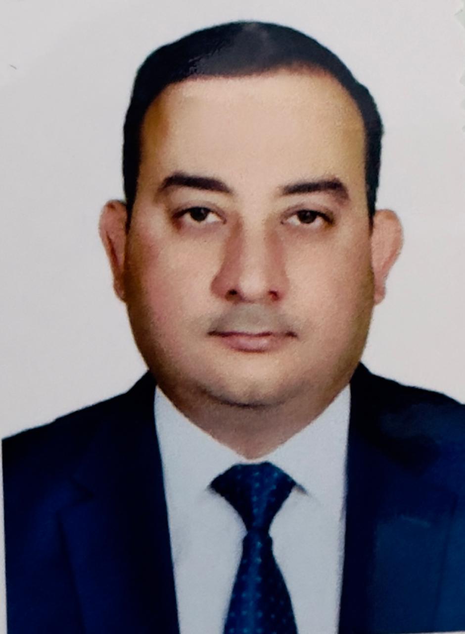 Professor Waleed Azeez Mahdi Al-Ameedy
